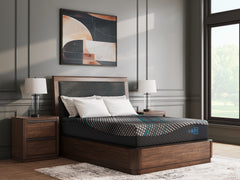 Fine Furniture & Decor - Ashley Furniture - Millennium 2.0 Foam 12 Inch Mattresses - Twin XL / Black - M31171