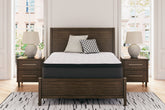 Fine Furniture & Decor - Ashley Furniture - Limited Edition PT Mattresses - California King / White - M41251