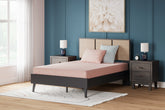 Fine Furniture & Decor - Ashley Furniture - iKidz Coral Mattresses - Twin and Pillow 2/CN / Coral - M43111
