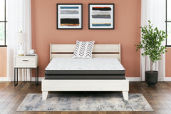Fine Furniture & Decor - Ashley Furniture - 10 Inch Pocketed Hybrid Mattresses - California King / White - M58951