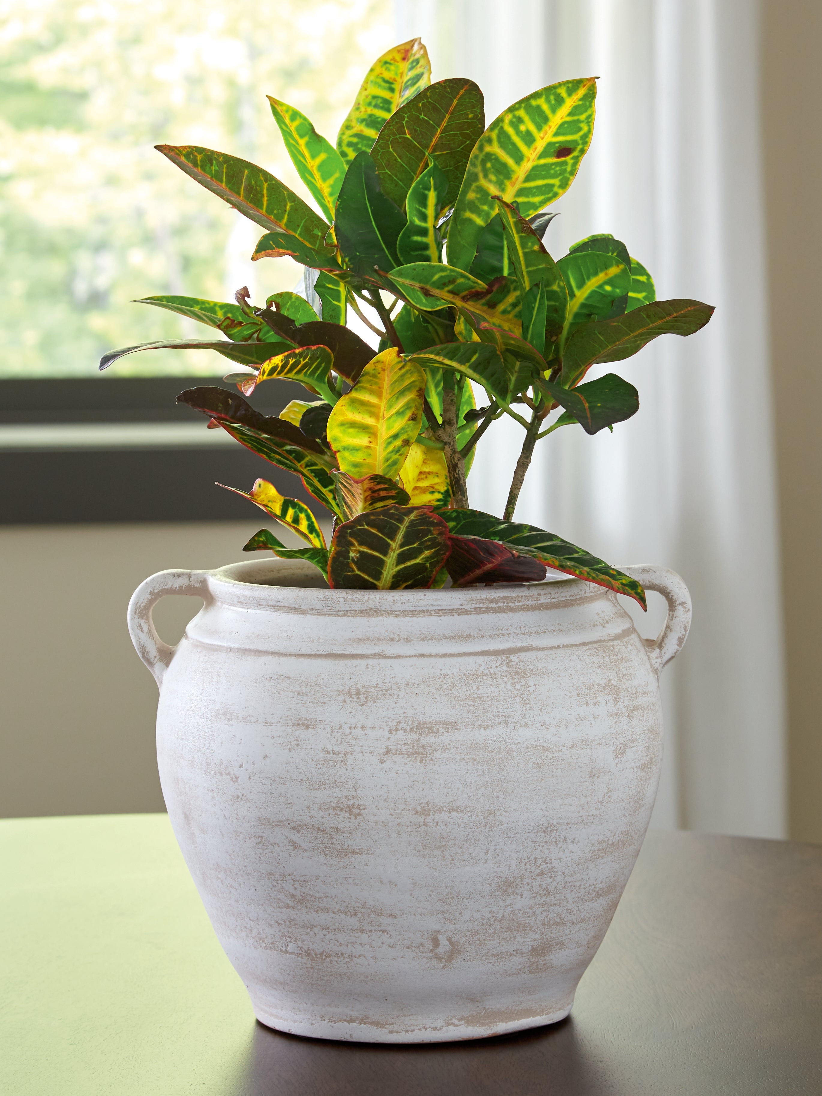 Fine Furniture & Decor - Ashley Furniture - Meadie Vase - Vase / Distressed White - A2000787