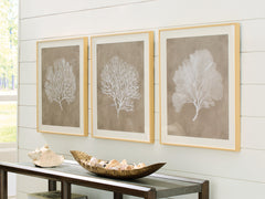 Fine Furniture & Decor - Ashley Furniture - Hendridge Wall Decor - Wall Art Set (3/CN) / Taupe/White - A8000486