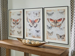 Fine Furniture & Decor - Ashley Furniture - Jossletts Wall Decor - Wall Art Set (3/CN) / Orange/Black/Ivory - A8000490