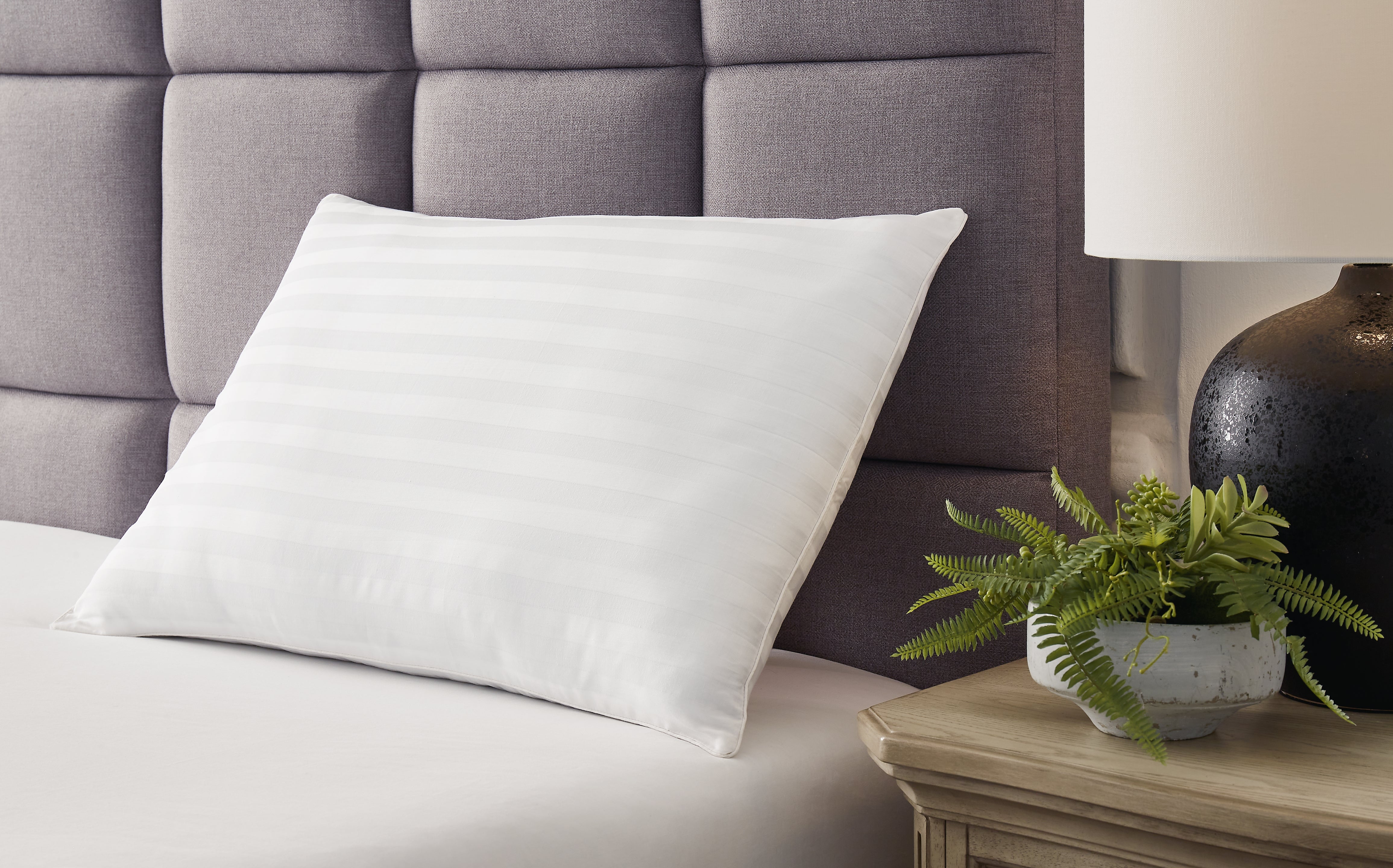 Fine Furniture & Decor - Ashley Furniture - Zephyr 2.0 Pillows - Cotton Pillow (Set of 2) / White - M52110P